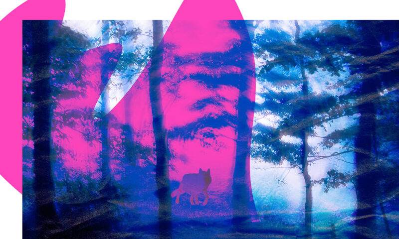 Responsive image